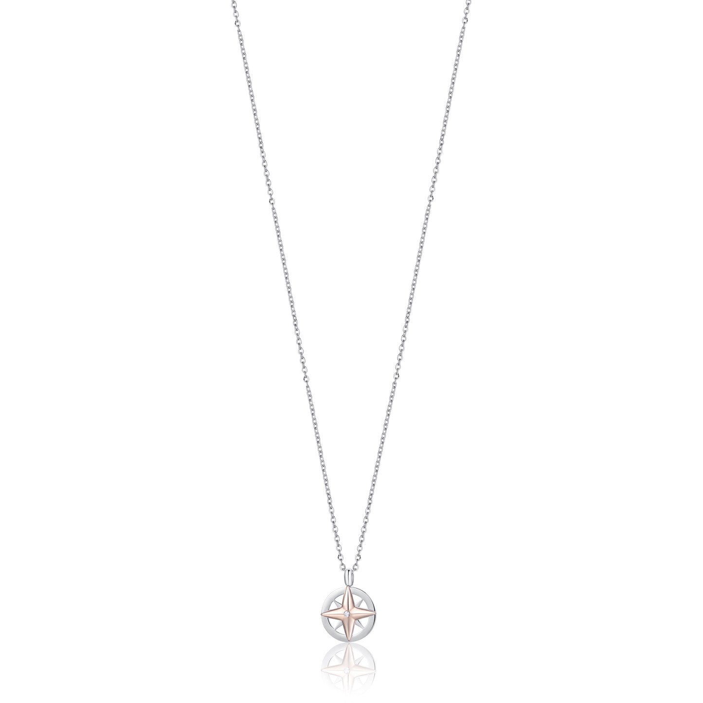 STEEL MEN'S WIND ROSE IP ROSE NECKLACE