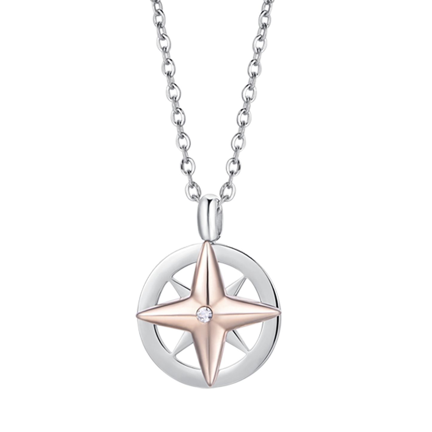 STEEL MEN'S WIND ROSE IP ROSE NECKLACE