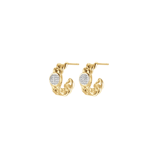 WOMEN'S IP GOLD STEEL AND WHITE CRYSTAL EARRINGS