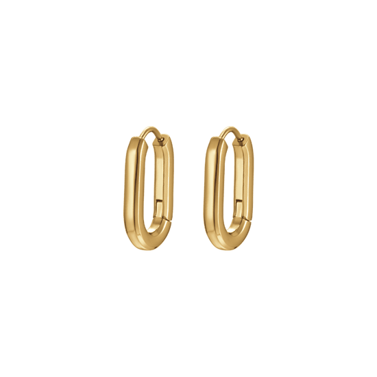 WOMEN'S IP GOLD STEEL EARRINGS