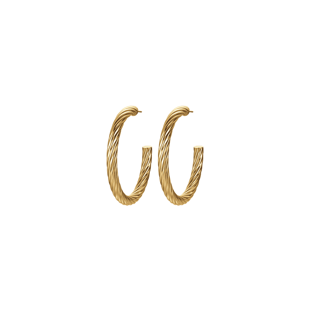 WOMEN'S IP GOLD STEEL HOOPS EARRINGS