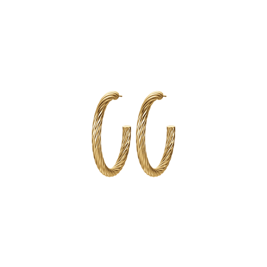 WOMEN'S IP GOLD STEEL HOOPS EARRINGS