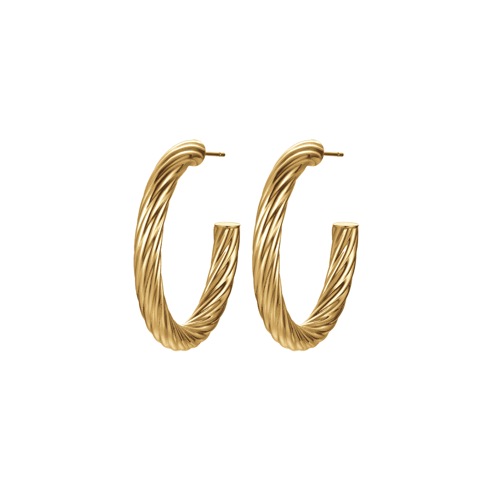 WOMEN'S IP GOLD STEEL HOOPS EARRINGS