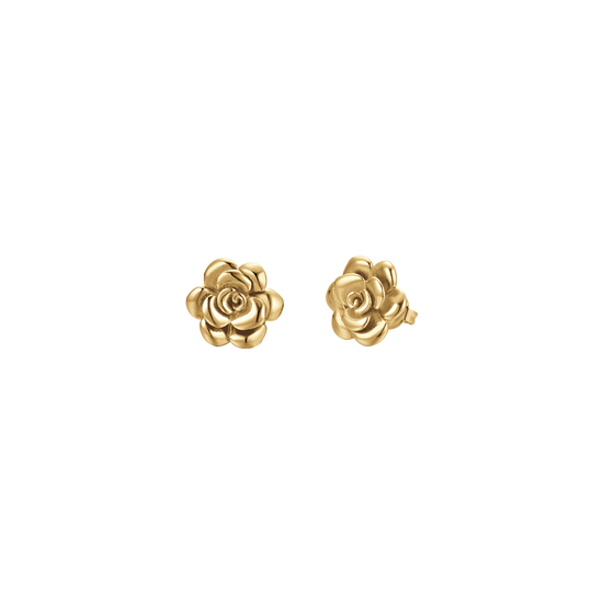 WOMEN'S IP GOLD STEEL EARRINGS WITH ROSE