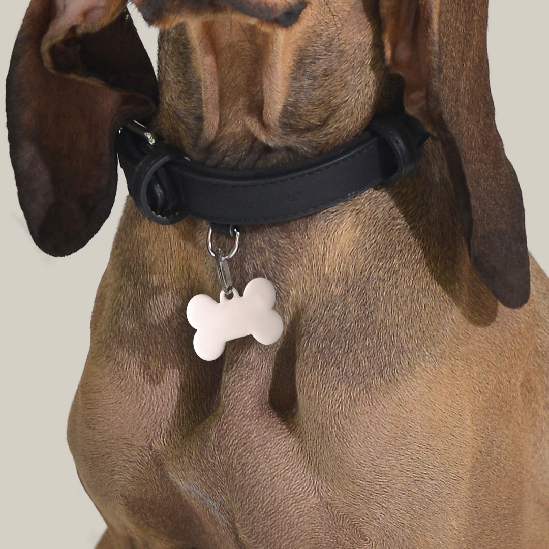 CUSTOMIZABLE DOG AND CAT BONE TAG