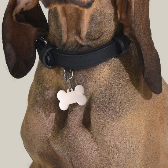 CUSTOMIZABLE DOG AND CAT BONE TAG